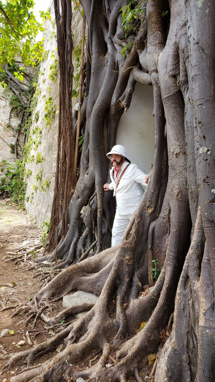 Tree roots in the Fort